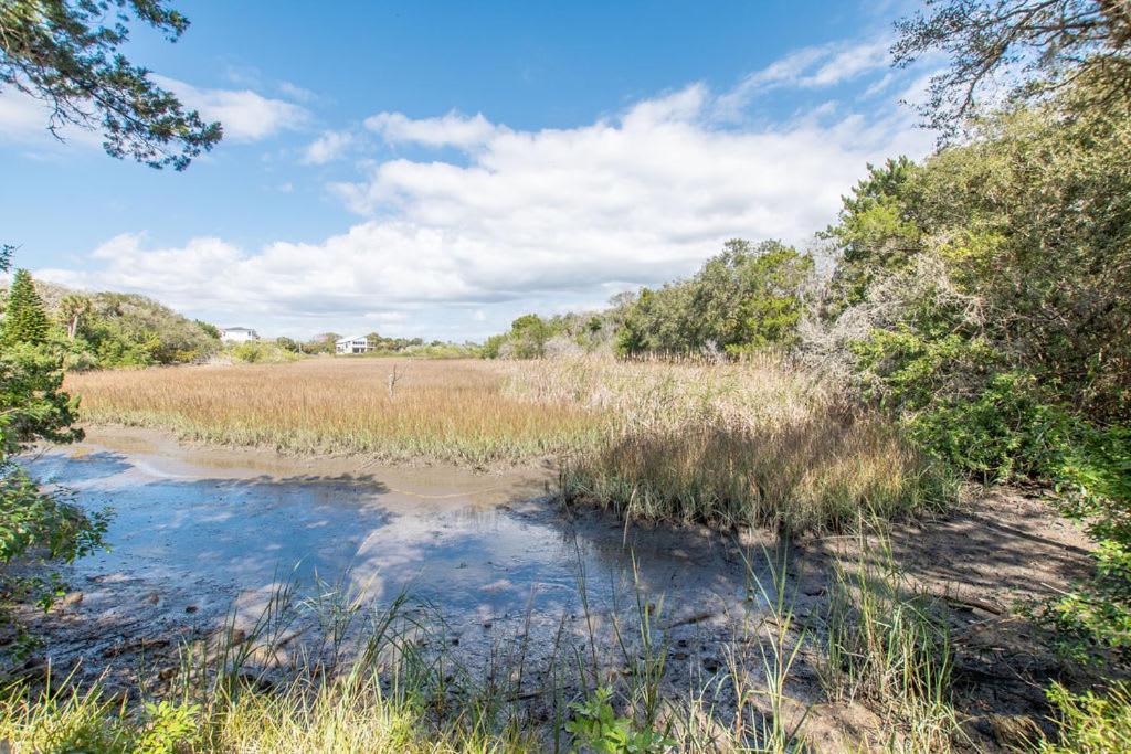 Marsh Front Birders Paradise Close To Beaches And Downtown Vila St. Augustine Exterior foto